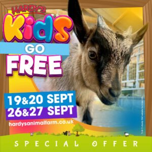 kids go free special offer