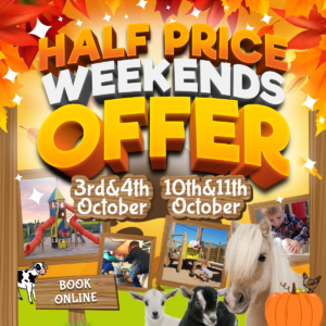 half price weekends special offer